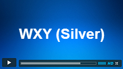 Dynamics of a WXY Elliott Wave Structure