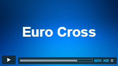 Long Term Elliott Wave Analysis on Euro Cross 6/14/2015