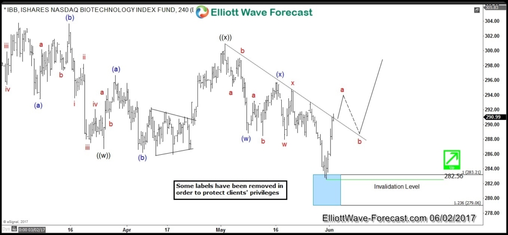 IBB Forecasting the Rally & Buying the Dips