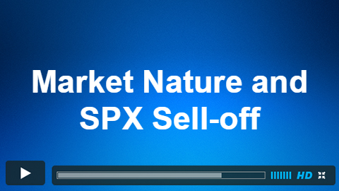 Market Nature: The Key In Avoiding Human Nature and Not Over-reacting to The SPX Sell-off