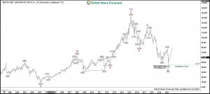 Bayer Elliott Wave Monthly