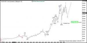Adidas Elliott Wave Monthly