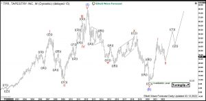 Tapestry Elliott Wave Monthly