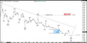 Netlist Elliott Wave Daily