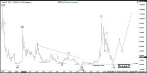Netlist Elliott Wave Monthly