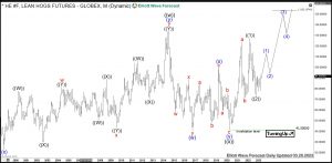 HE #F: Lean Hogs Reacting Higher from Blue Box Area Lean Hogs Elliott Wave Monthly