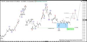 HE #F: Lean Hogs Reacting Higher from Blue Box Area Lean Hogs Elliott Wave Weekly