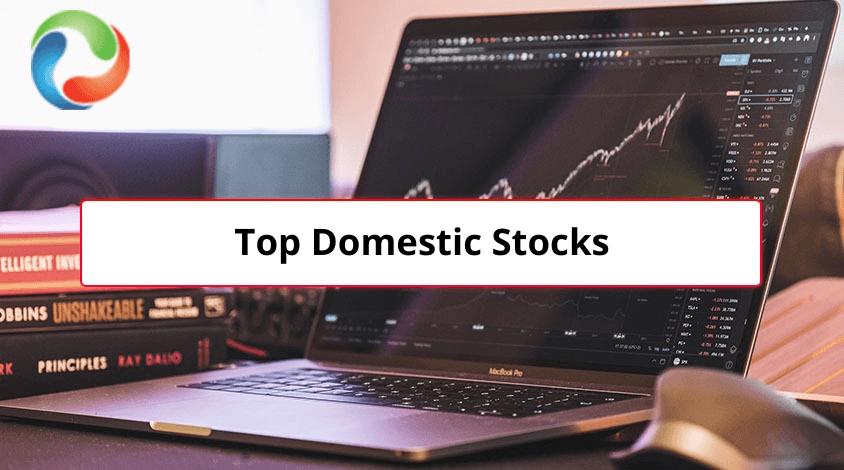Top Domestic Stocks to Consider in 2024