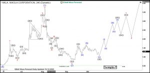 Nikola Elliott Wave 4H