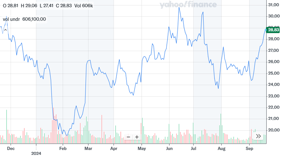 Best Performing Growth Stocks in 2024
