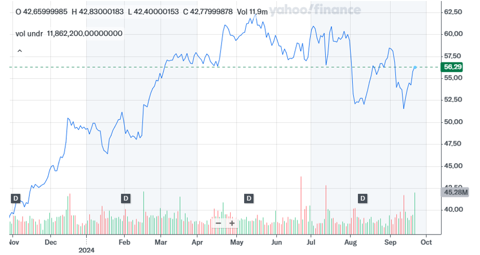 Best Performing Growth Stocks in 2024