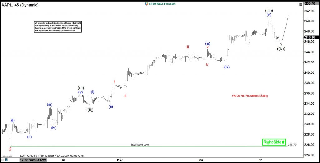 Elliott Wave View: APPLE (AAPL) Continue Rally In Bullish Sequence