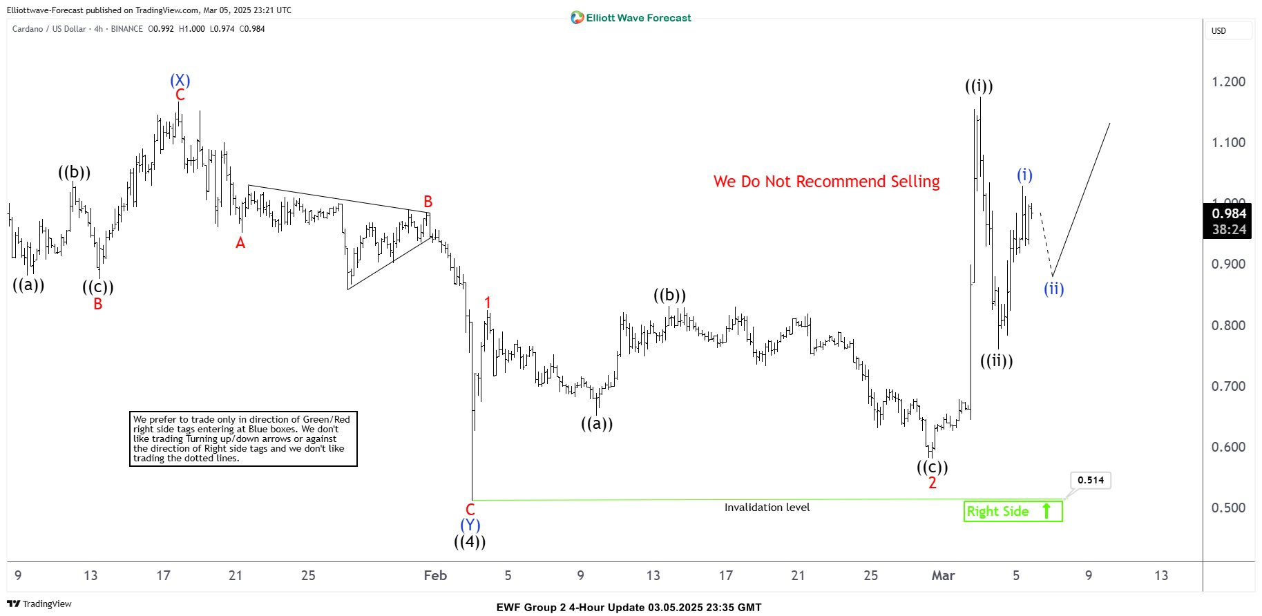 Cardano ADAUSD March 2025 Update - Rally Continuation Pattern