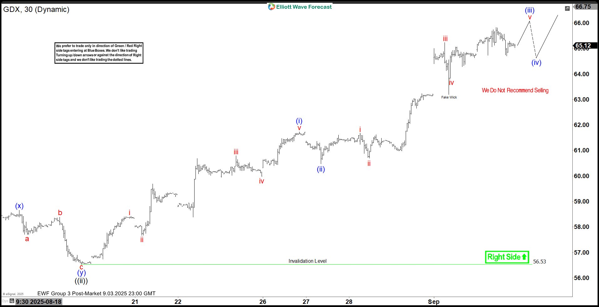GDX Elliott Wave Update: Rally Gains Momentum in Wave ((iii))